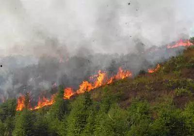 揭西县爆料大火案件最新,真相揭秘，悲剧背后的调查与反思