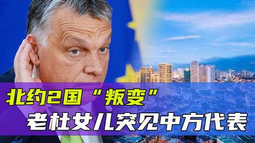 老杜爆料最新消息,最新热点事件内幕大揭秘！