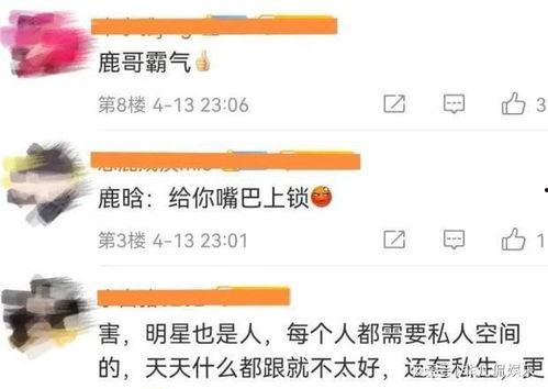 狗仔爆料流程视频大全最新,视频大全背后的真相与技巧